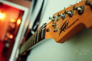 Macro shot of Peavey guitar headstock with tuning pegs in shallow focus.