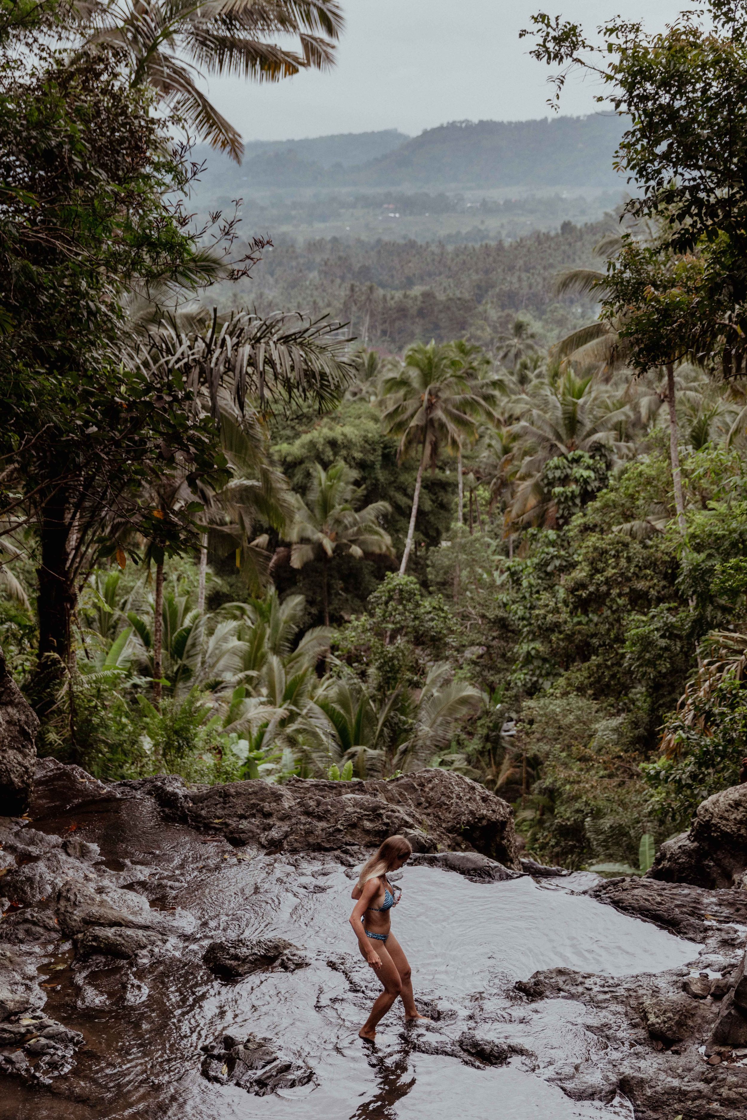 Scenic tropical landscape with mountains, palm trees, and a natural waterfall pool.