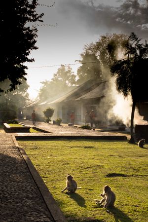 Misty morning sunlight illuminates a grassy park with silhouettes in golden light.