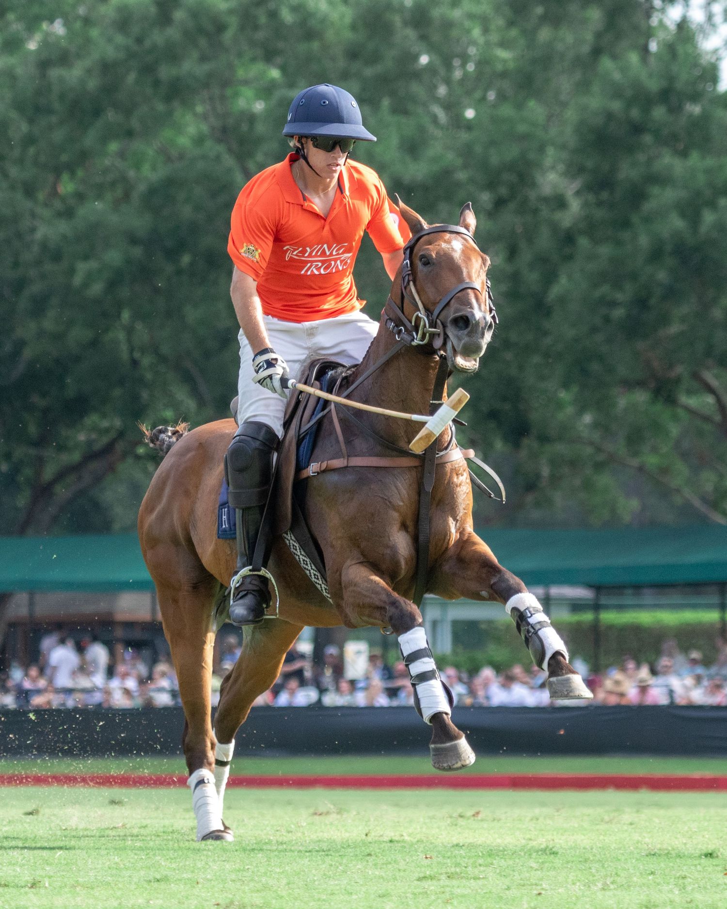 Polo