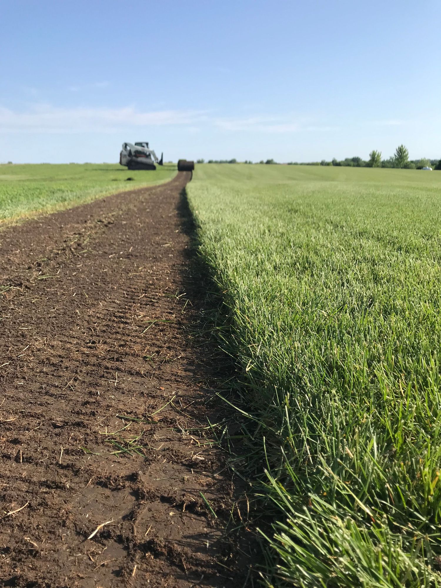 Metro Turf Sod Farm LLC healthy harvest dirt soil and grass product