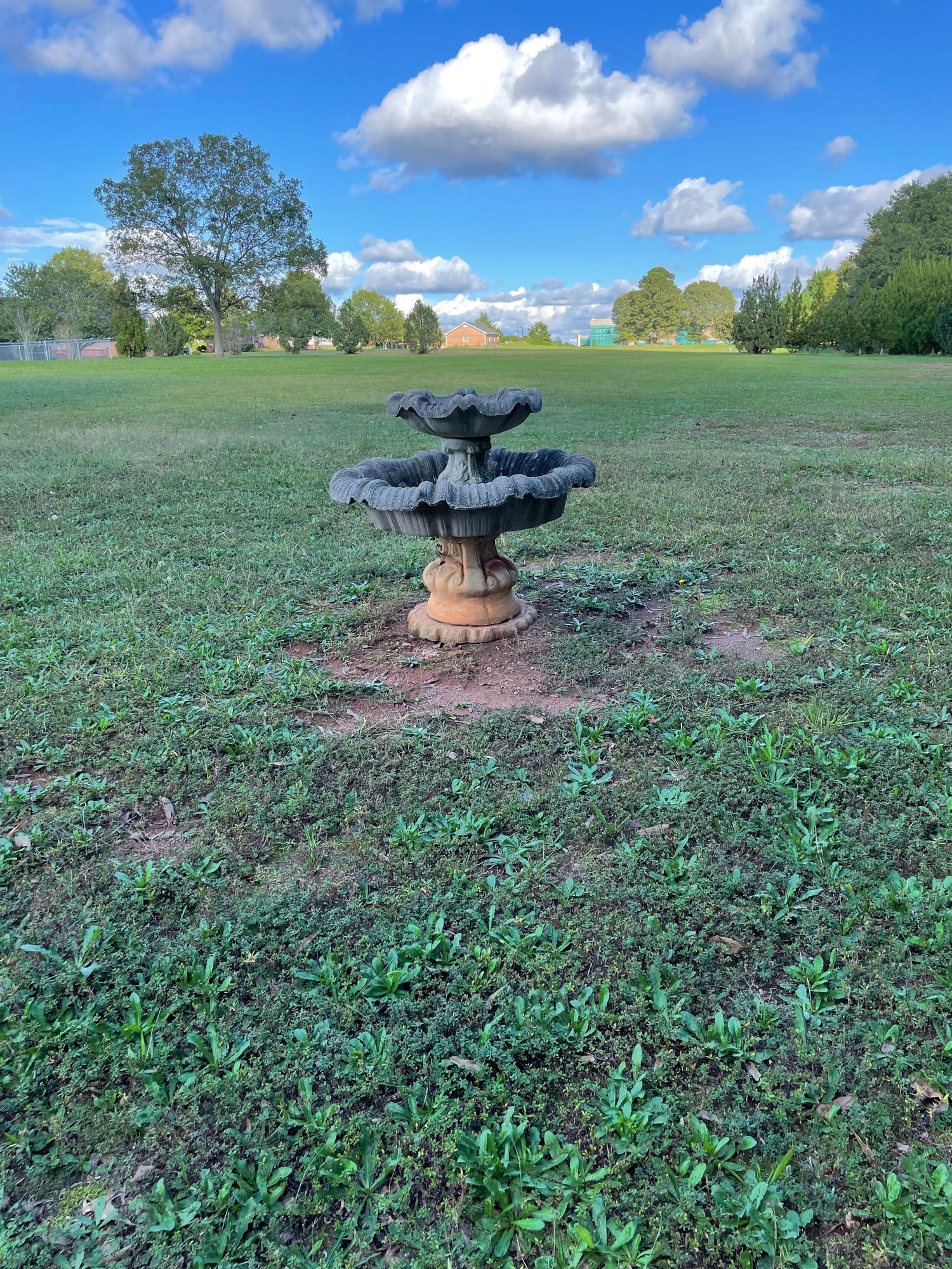 landscape, bird bath