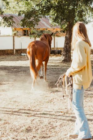 Person in cream sweater and jeans stands with brown horse in sunlit paddock.