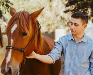 Close-up shots of person interacting with brown horse outdoors.