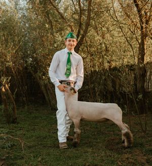Person in white dress shirt and green tie poses with goat in outdoor wooded setting at sunset.