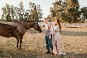 Horses graze in a field at sunset near a white fence.