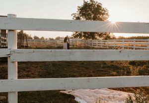 White fence stretches across a rural landscape at golden hour with trees in the background.