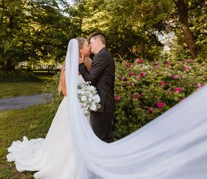 Wedding couple sharing a kiss beside blooming pink roses with bride's long veil trailing gracefully behind her.