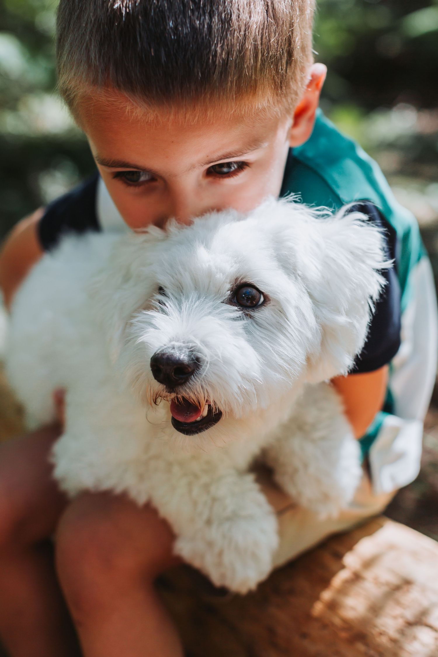 Photo d'un enfant tenant un petit chien blanc lors d’une séance photo lifestyle avec animaux de compagnie