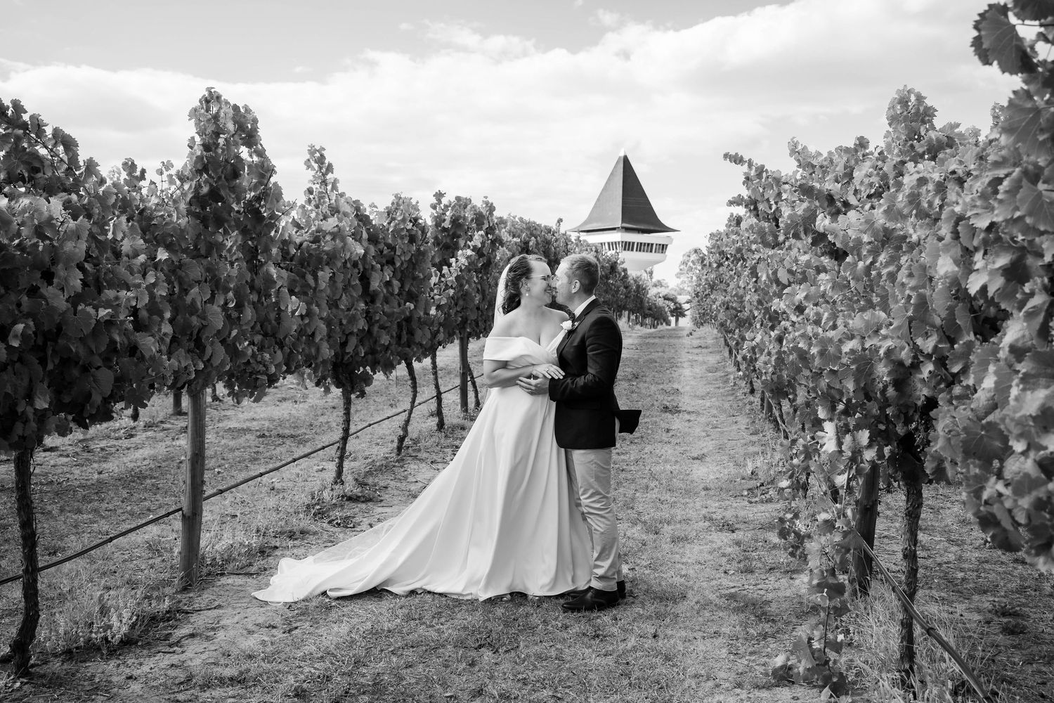 Wedding photography in a scenic vineyard with rolling hills and grapevines.