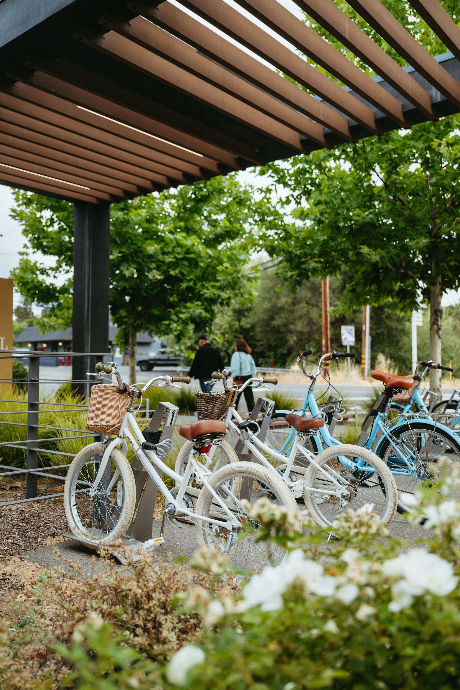 A row of vintage-style bicycles with wicker baskets parked in a garden with white flowers blooming in the foreground.