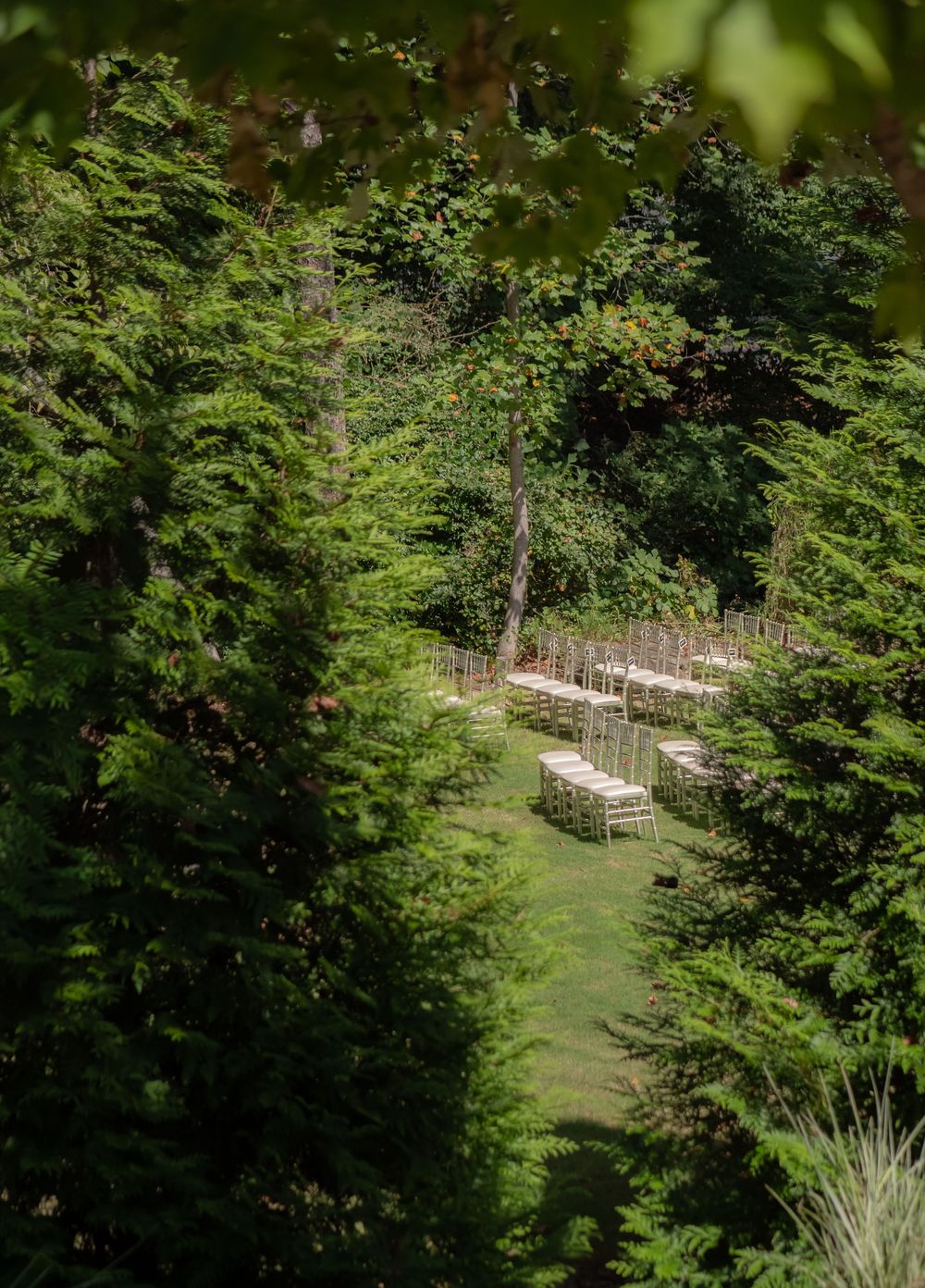 Wedding venue chairs set up in rows on a grassy clearing surrounded by lush forest.