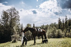 Rider and horse in sync during a sunset ride in Northern British Columbia