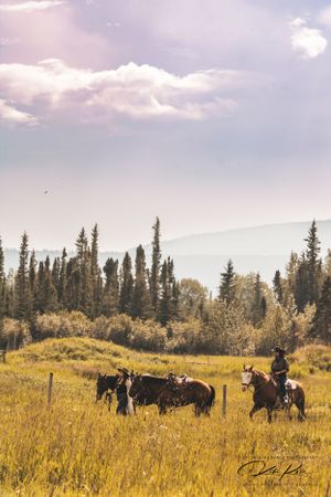Rider and horse training in an open field in Fort St John, by Captured Moments Photography - By Kim Rose
