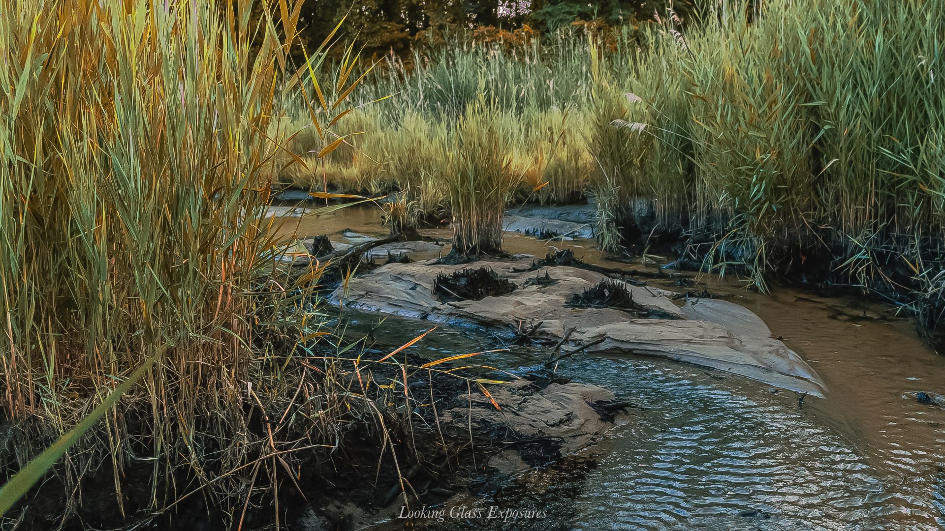 Hidden Flow, was taken while I was still trying to venture myself to sneek behind tall grass, along the bayside, for it. Worth it.