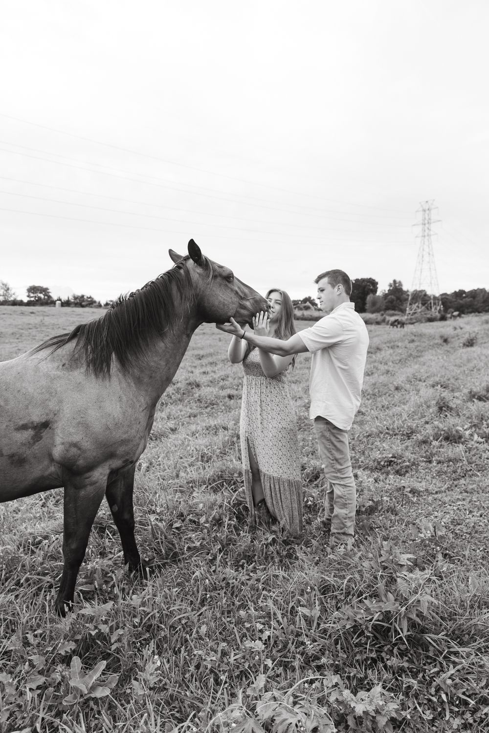 A black and white photo shows a couple petting a horse in a grassy field.