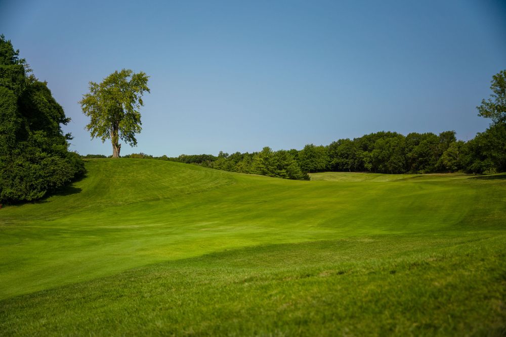 Rolling green hills of a golf course with trees against a bright blue summer sky.