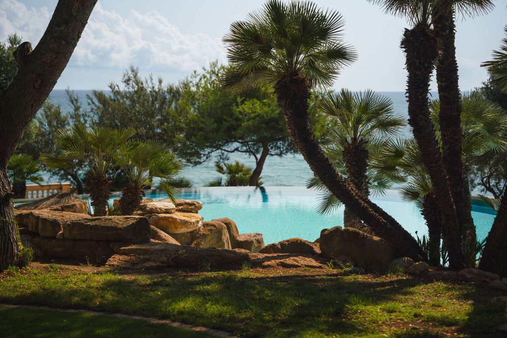 Infinity pool overlooking tropical ocean waters with palm trees and natural rock landscaping.