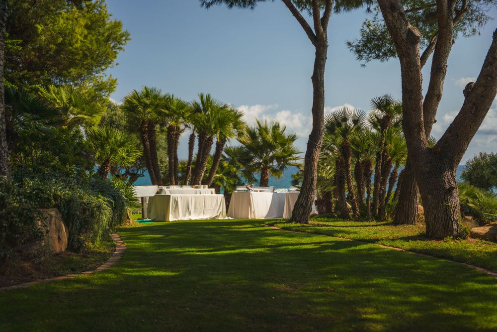 Garden party venue with white tables set among palm trees and pines.