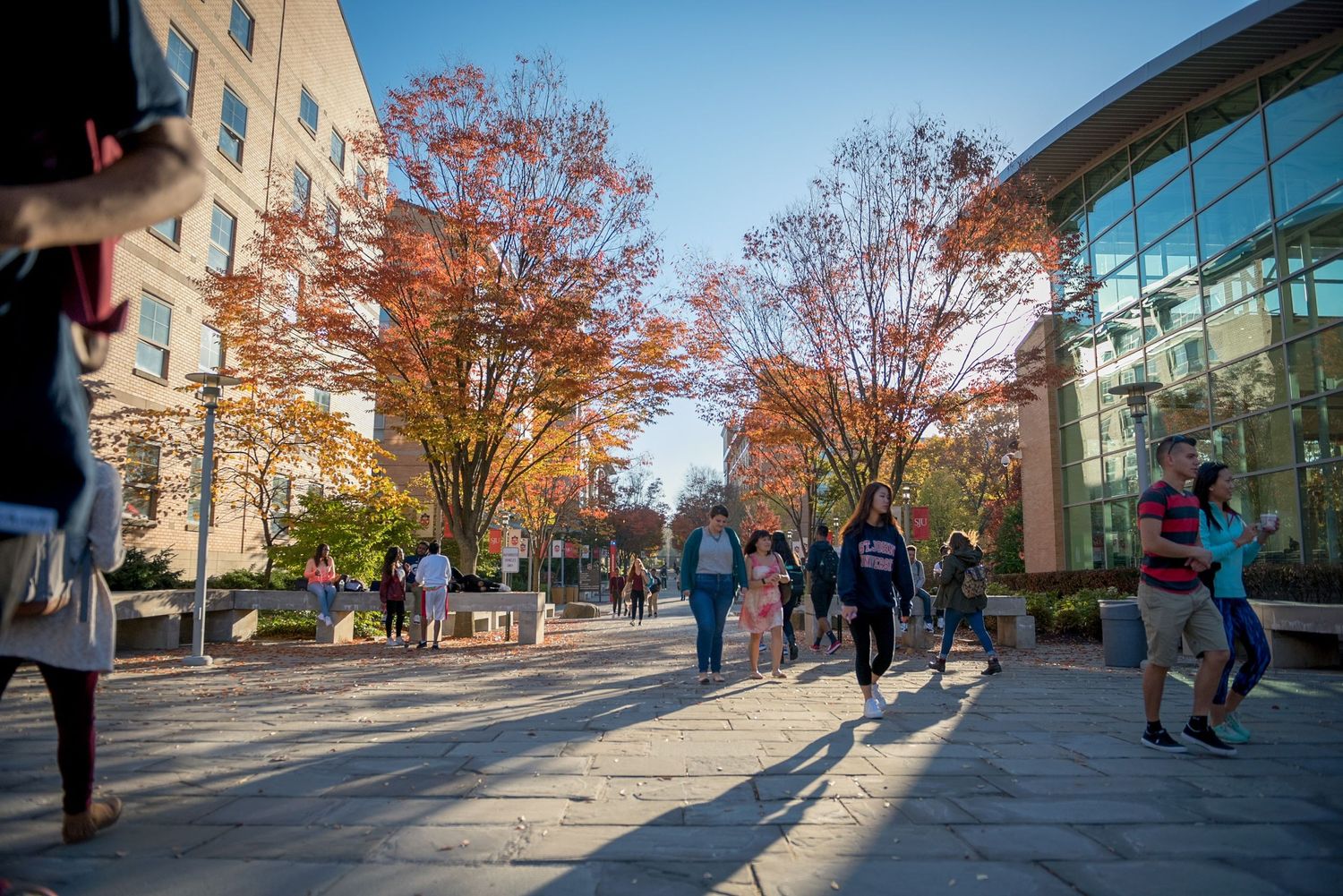 students walking in fall at st. johns university  HIGHER EDUCATION PHOTOGRAPHER, UNIVERSITY PHOTOGRAPHER