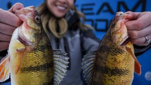 Multiple fish catches displayed with fishing equipment and blue branding visible.