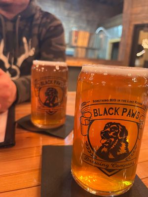 Row of Black Paws Brewing Company beer glasses filled with golden ale on wooden bar.