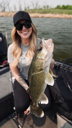 A caught crappie fish being displayed on a boat during a summer fishing trip.
