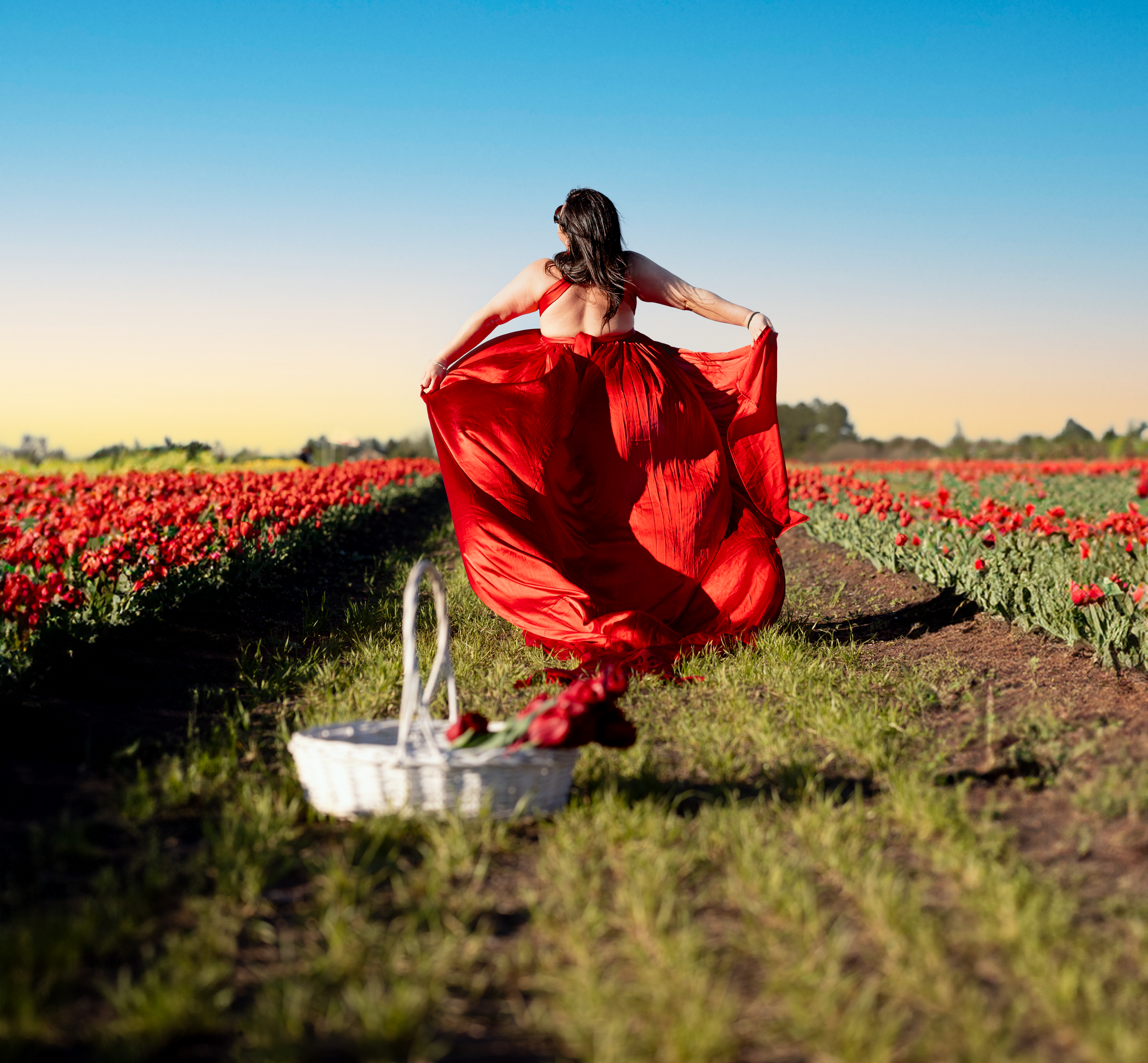 Tulips in Northern Virginia. Flying dress photoshoot Bristow, Nokesville, Manassas, Fairfax, Haymarket Virginia