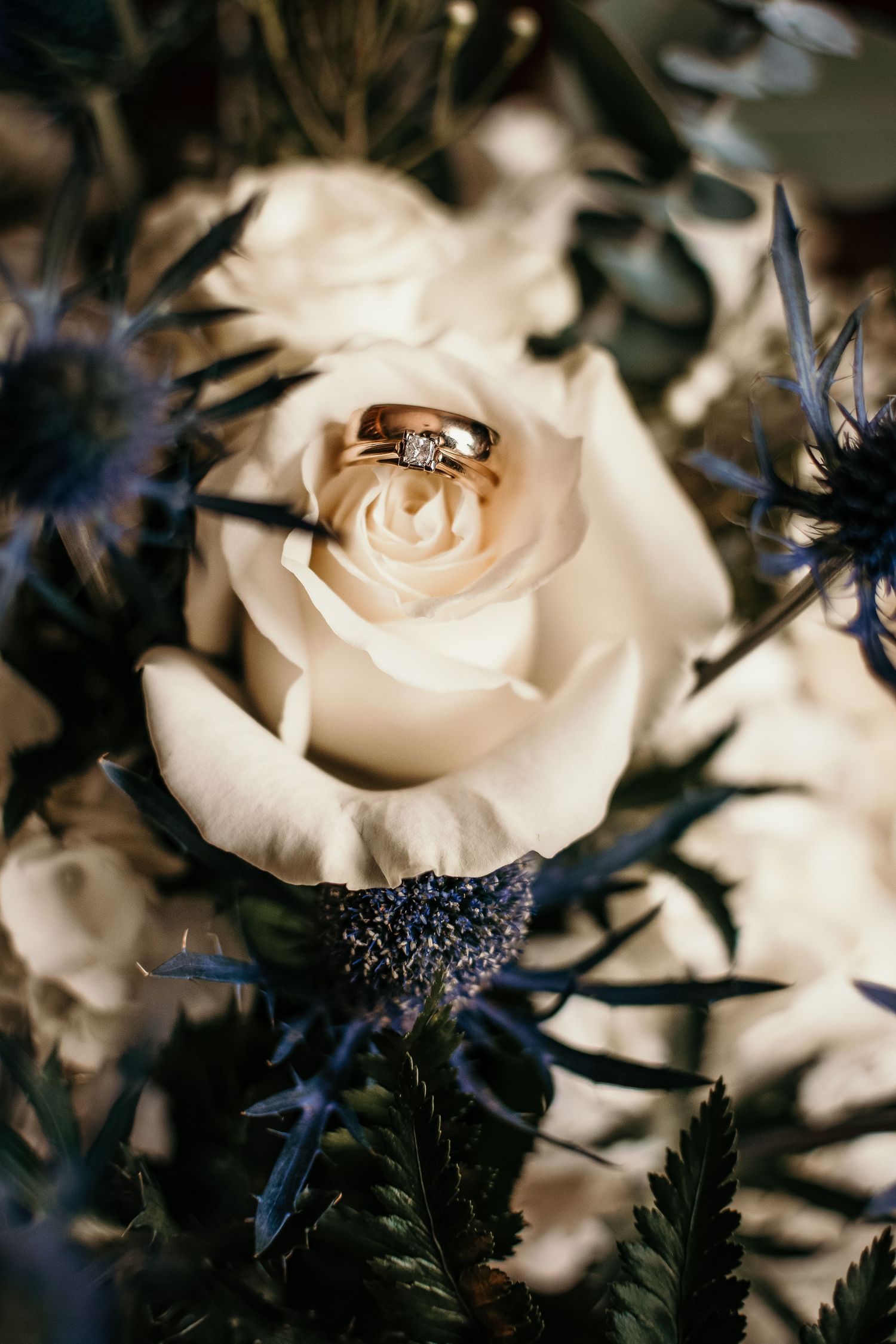 Autumn wedding photography of small white wedding at farm, Asheville, North Carolina.