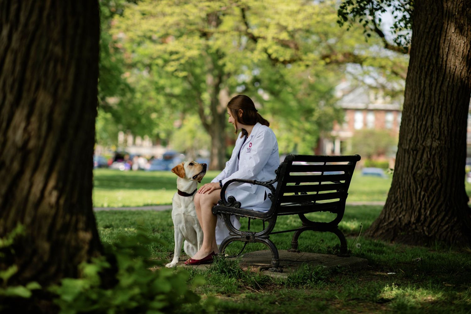 Tucked between two trees a woman in a doctors coat is sitting on a bench with her yellow lab gazing at her with a smile on its face.
