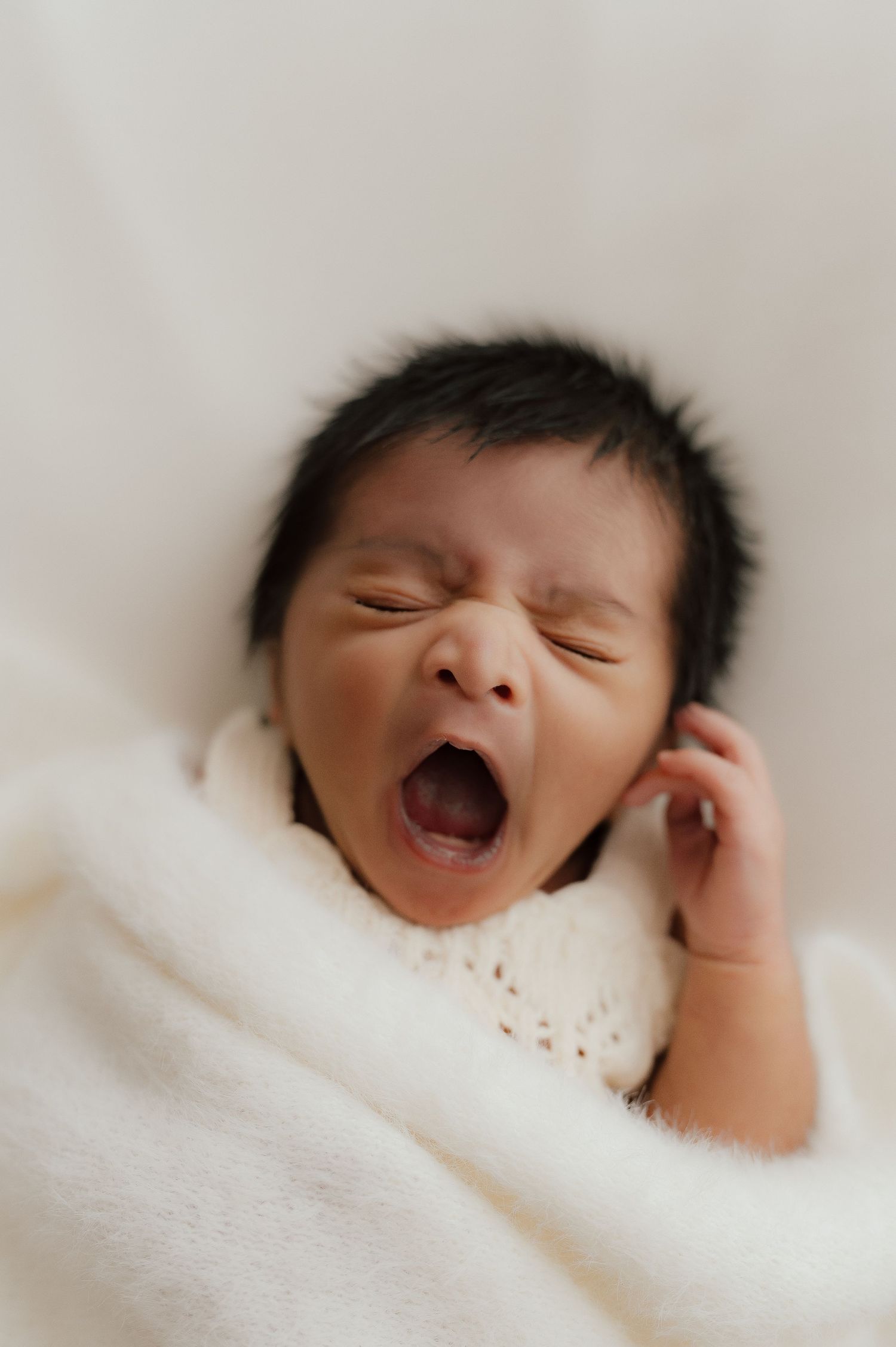 newborn photographer point cook