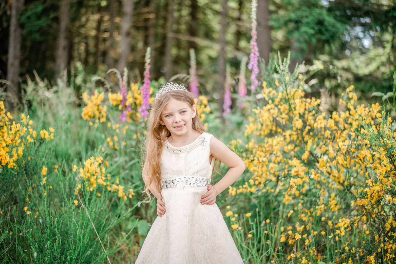 A dreamy scene with yellow wildflowers blooming against a forest backdrop.
