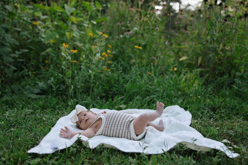 Summer family wildflower photoshoot