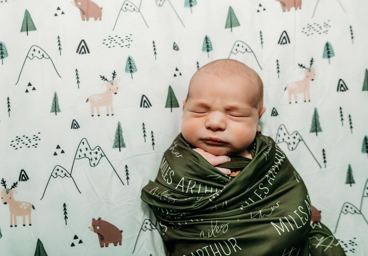Fenton Michigan Newborn Photographer