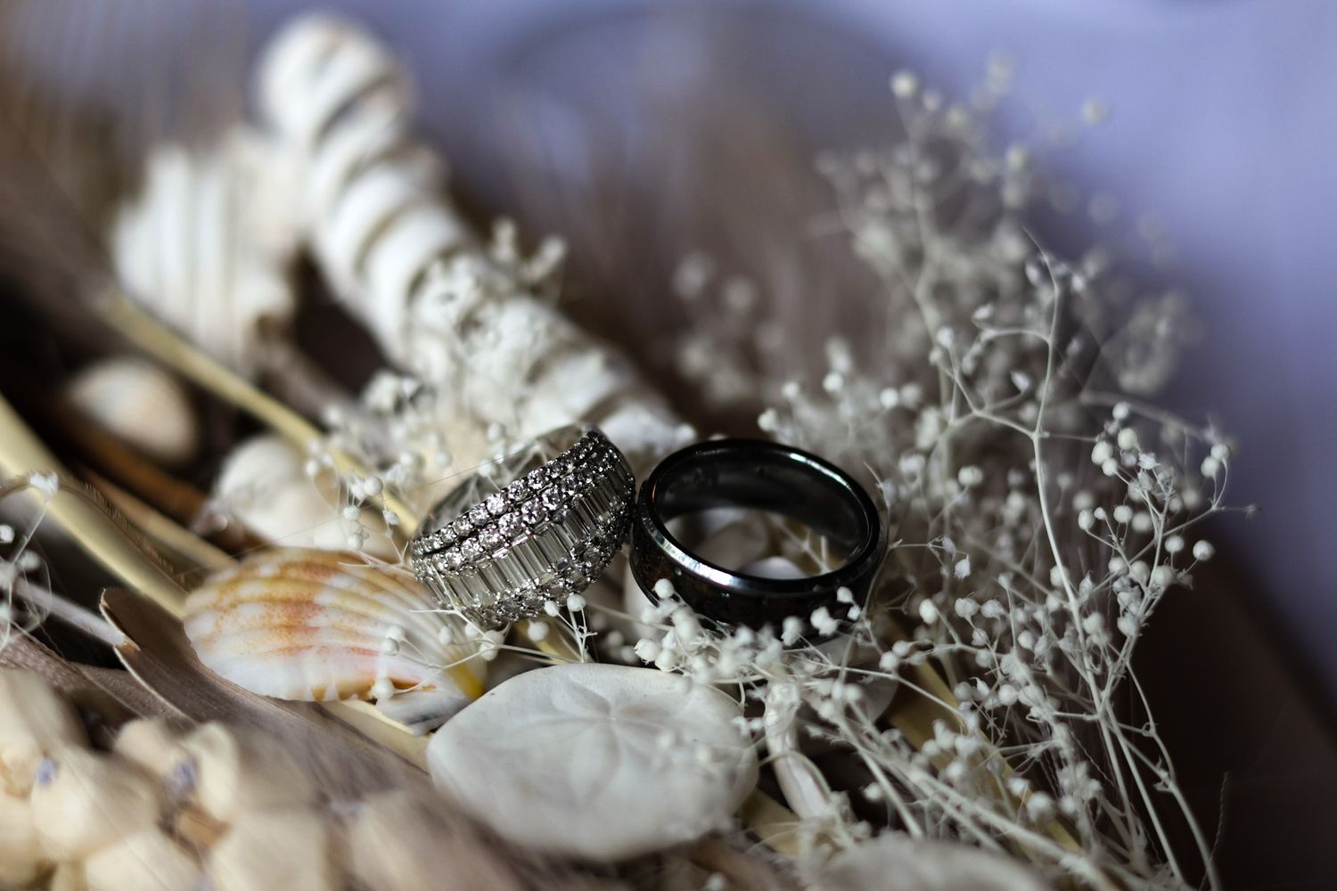 Orlando Wedding Photographer