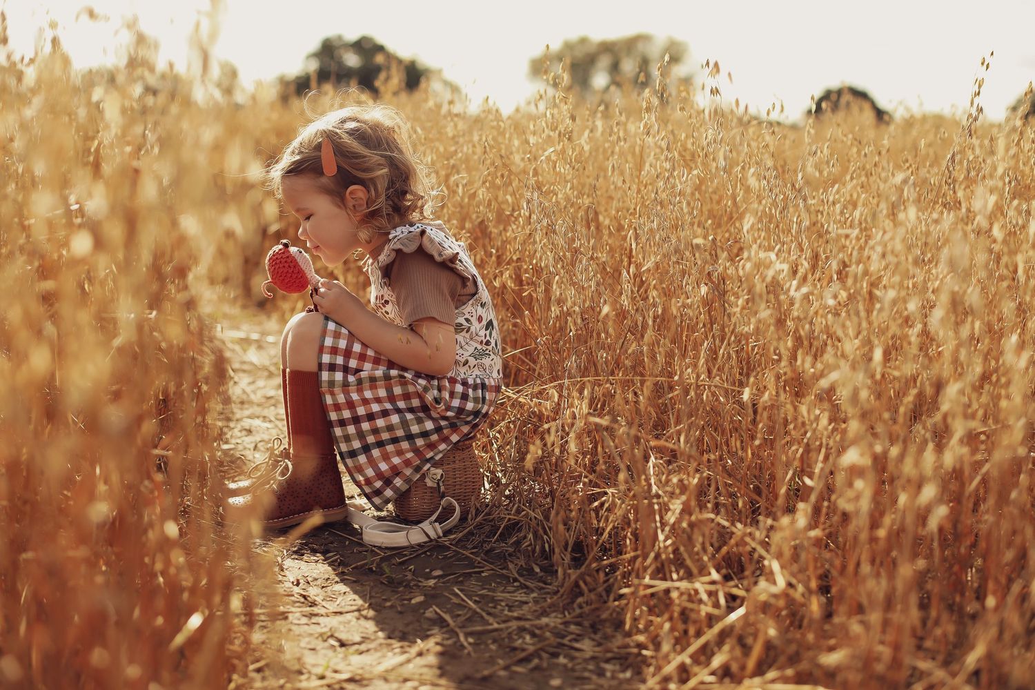 Someone sitting in a golden wheat field holding a child at sunset.