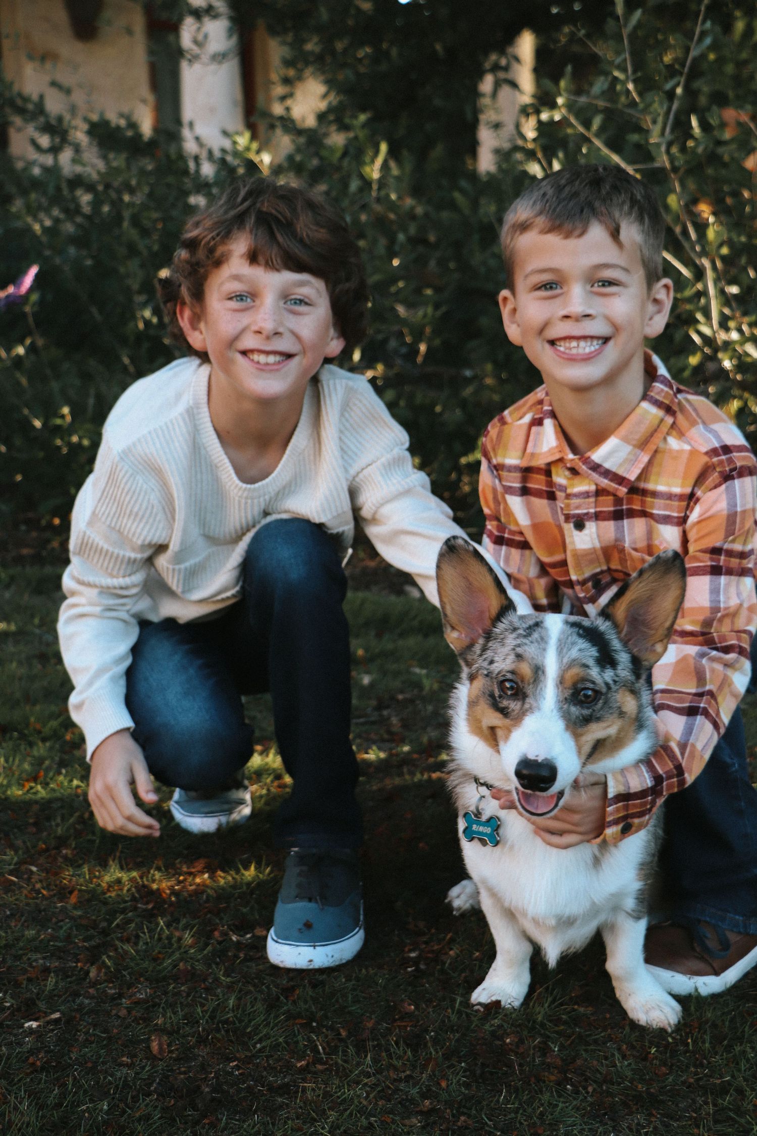 Two young boys crouch next to a corgi dog in a garden setting.