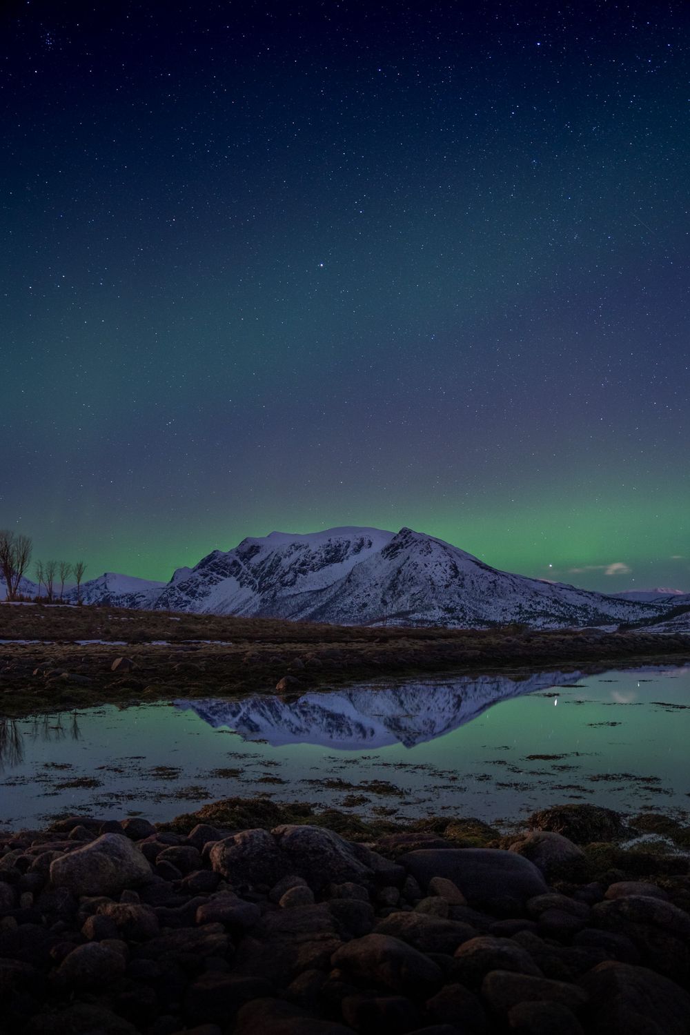 aurores boréales andenes lofoten norvège