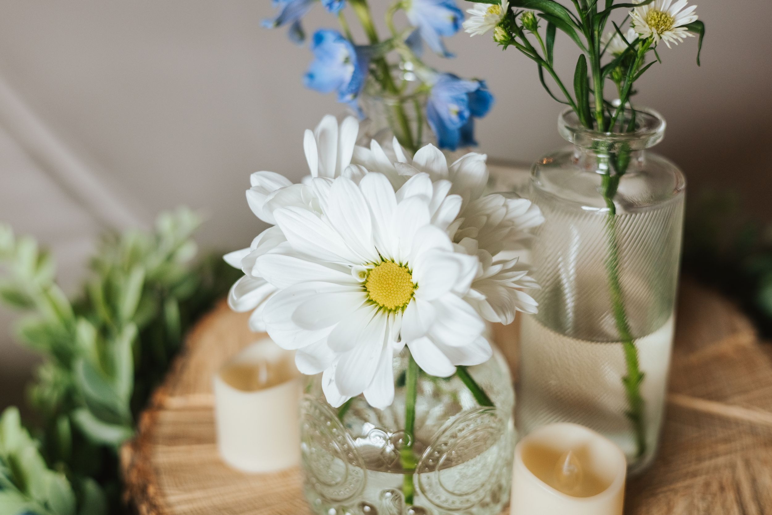 Fresh daisies and blue flowers arranged in small glass vases with soft natural lighting.