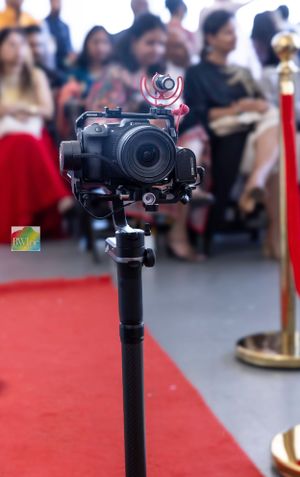 Professional camera mounted on monopod setup for event photography on red carpet.
