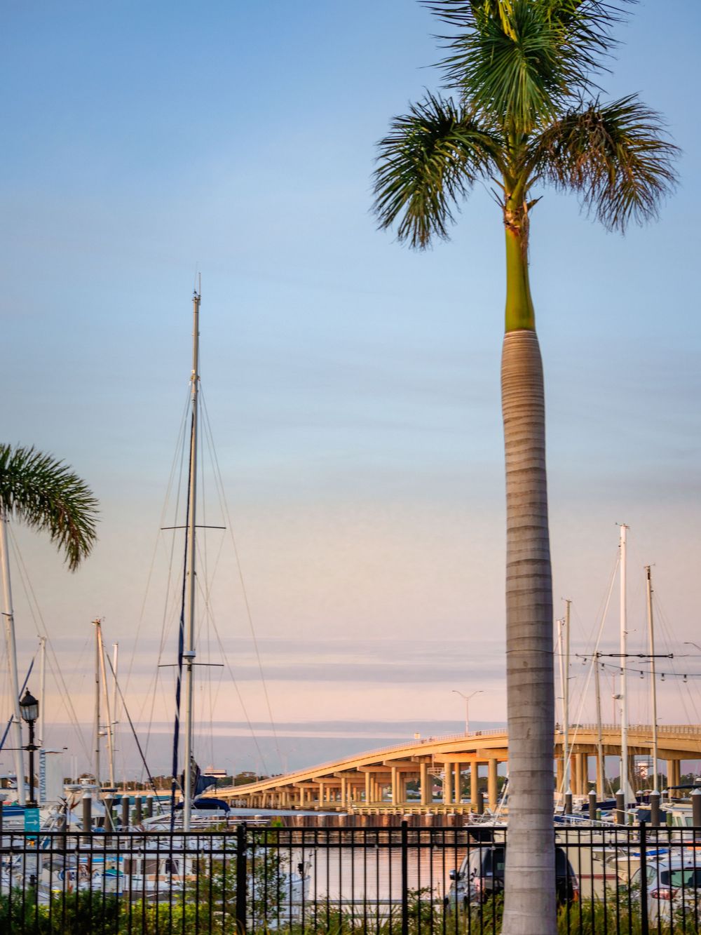 Sailboat masts and palm trees line a marina dock at sunset with golden light illuminating the peaceful harbor scene.