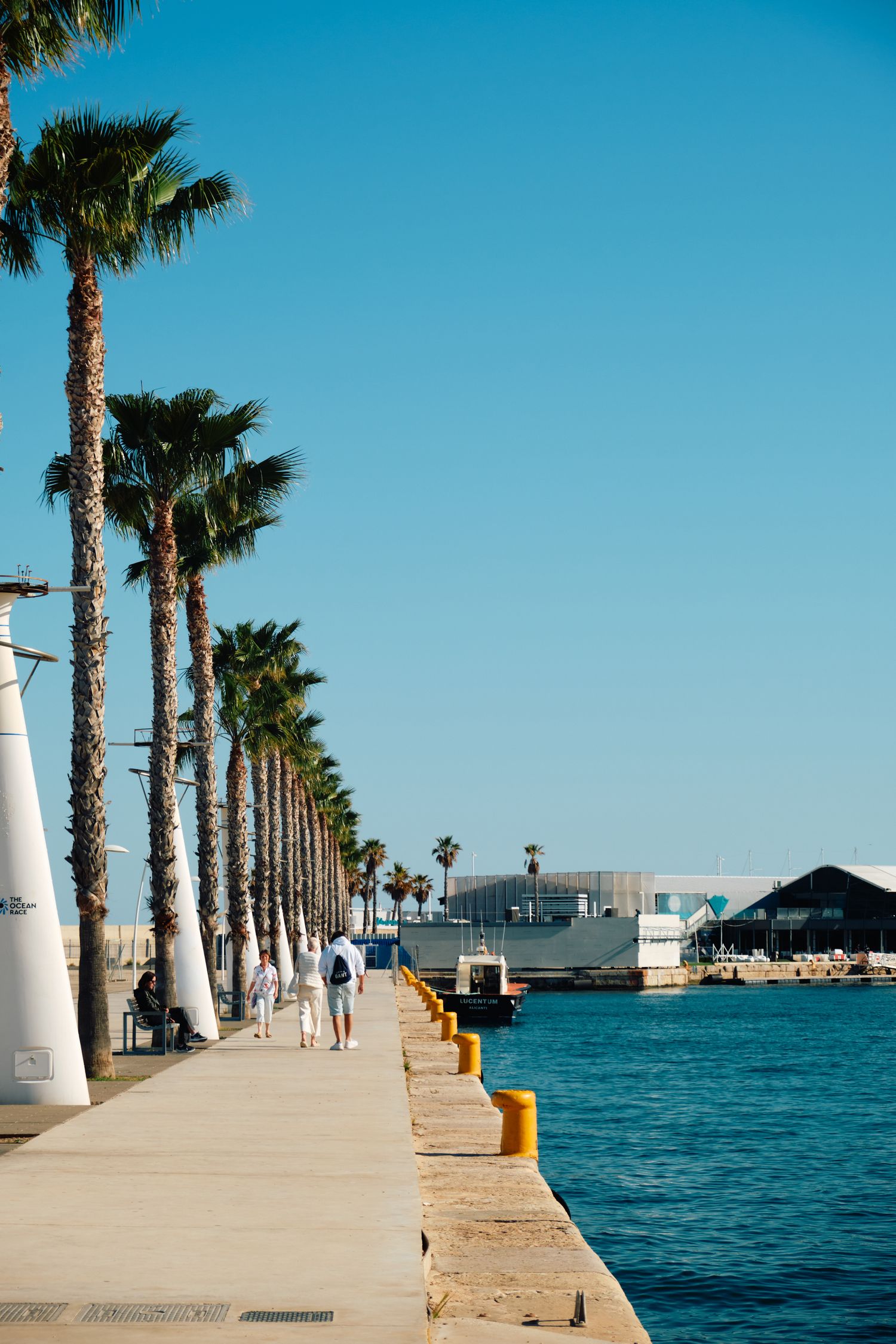 Palm tree lined waterfront promenade with blue ocean views.