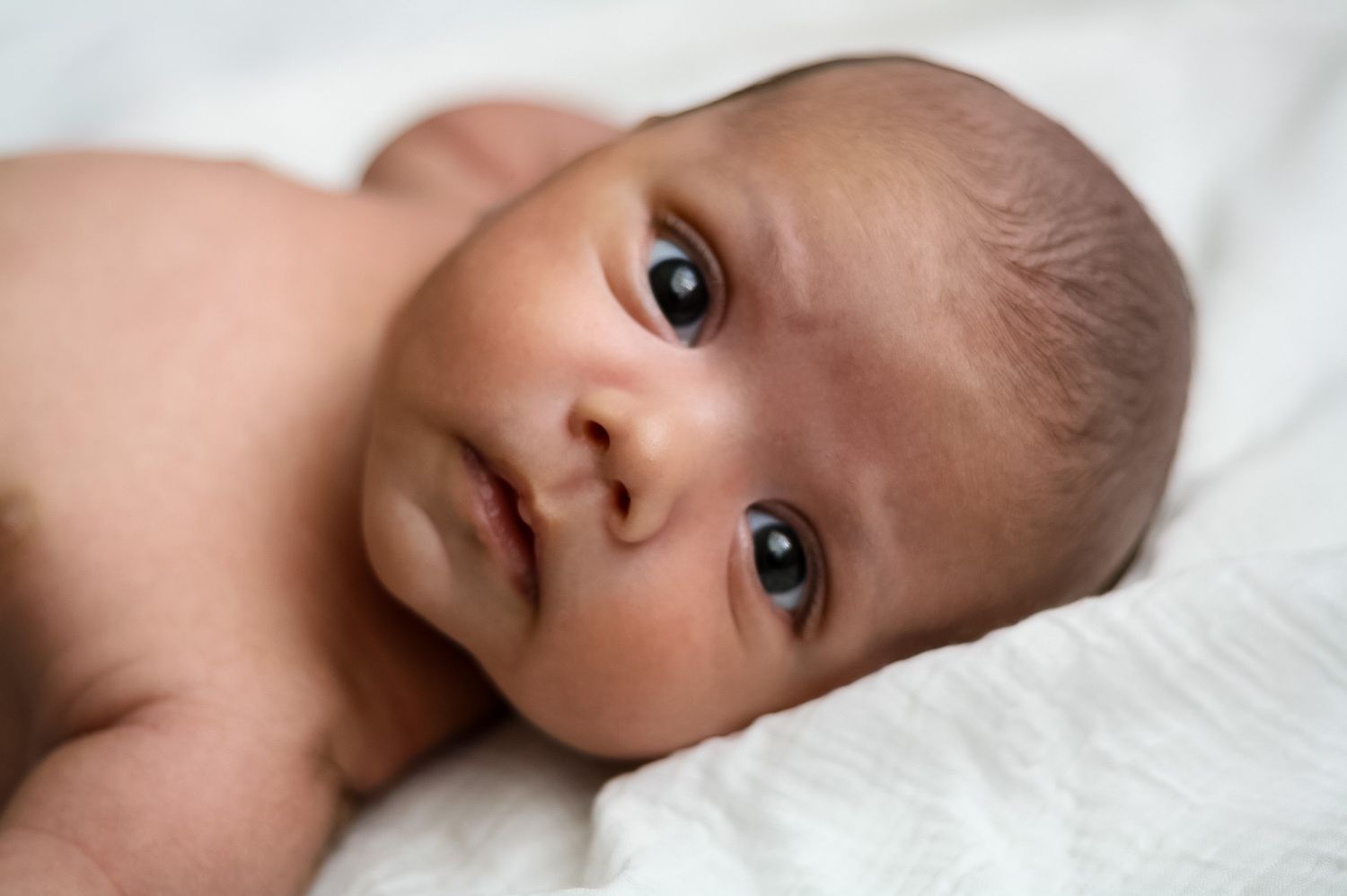 Newborn Photography Colchester Essex | Amadre Photography | Family Photographer Essex