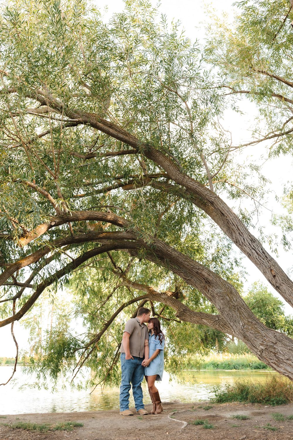 Multiple portrait shots under a drooping willow tree in a park setting.