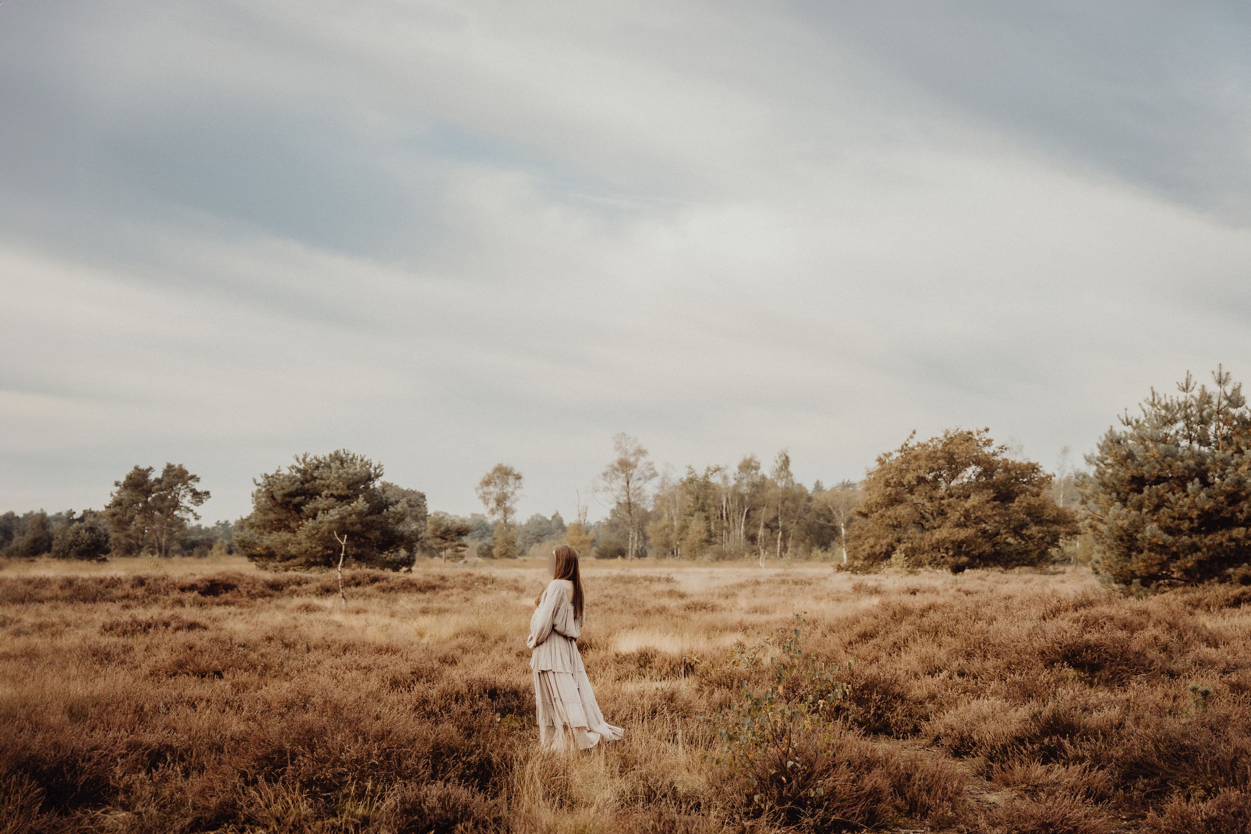 A lone figure in white standing among golden heather fields under cloudy skies.