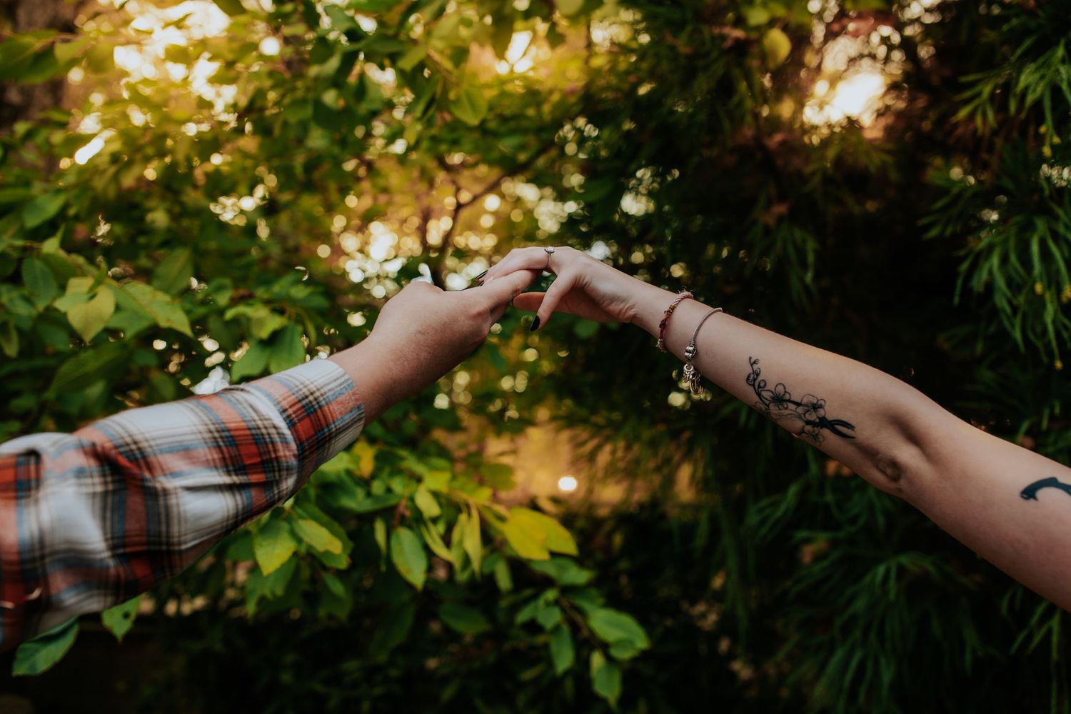 Two tattooed hands reaching toward each other in front of sunlit green foliage.
