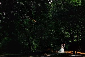 A couple stands in a dramatic shaft of sunlight breaking through dense forest trees during an outdoor wedding ceremony.