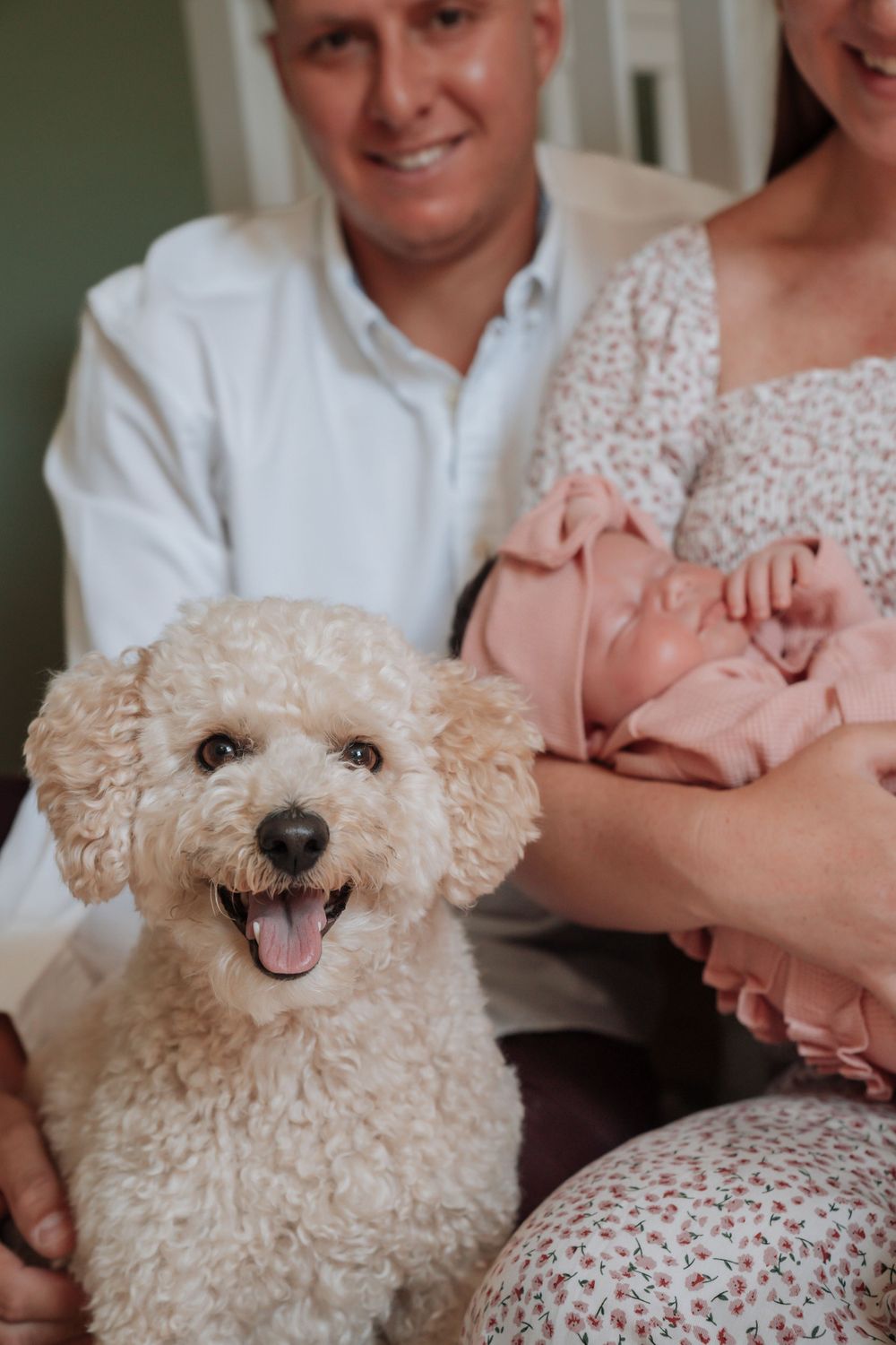 Smiling family with fluffy white poodle dog posing with newborn baby dressed in pink.