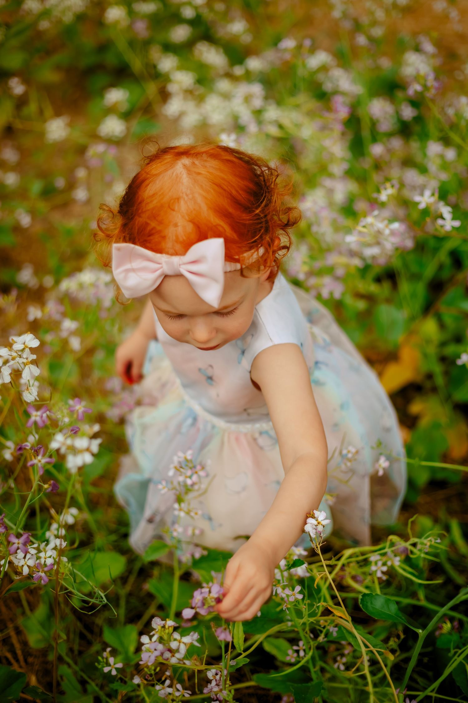 Flower field family photography in San Dimas, California