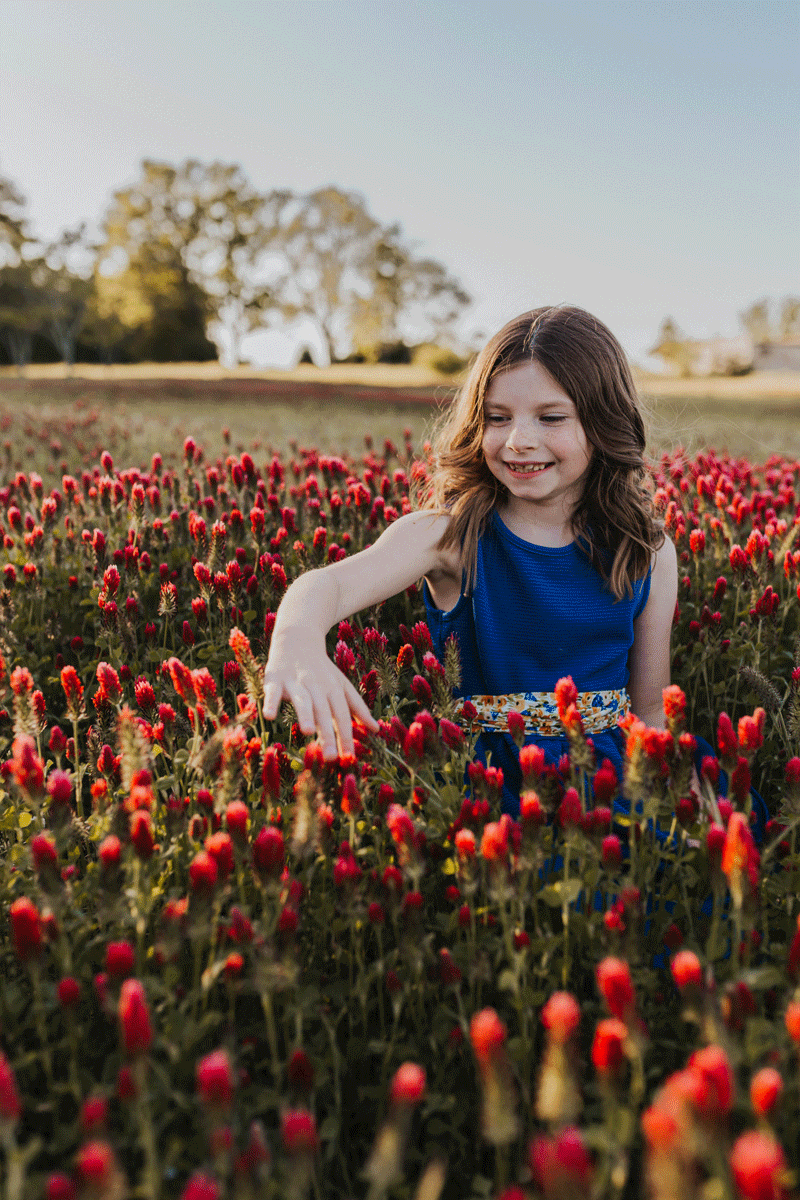 A young person in a blue dress reaches toward vibrant red flowers in a sunny meadow.